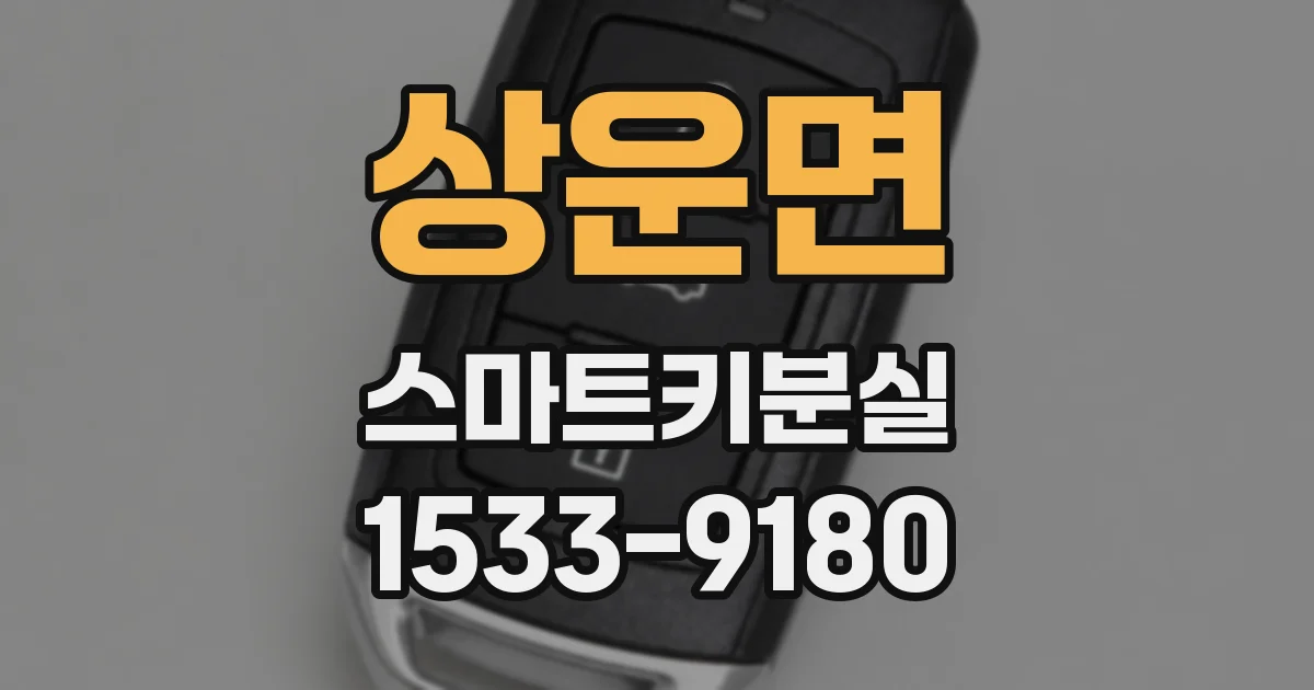 상운면 스마트키분실