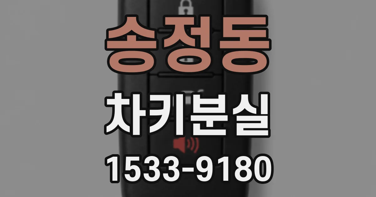 송정동 차키분실