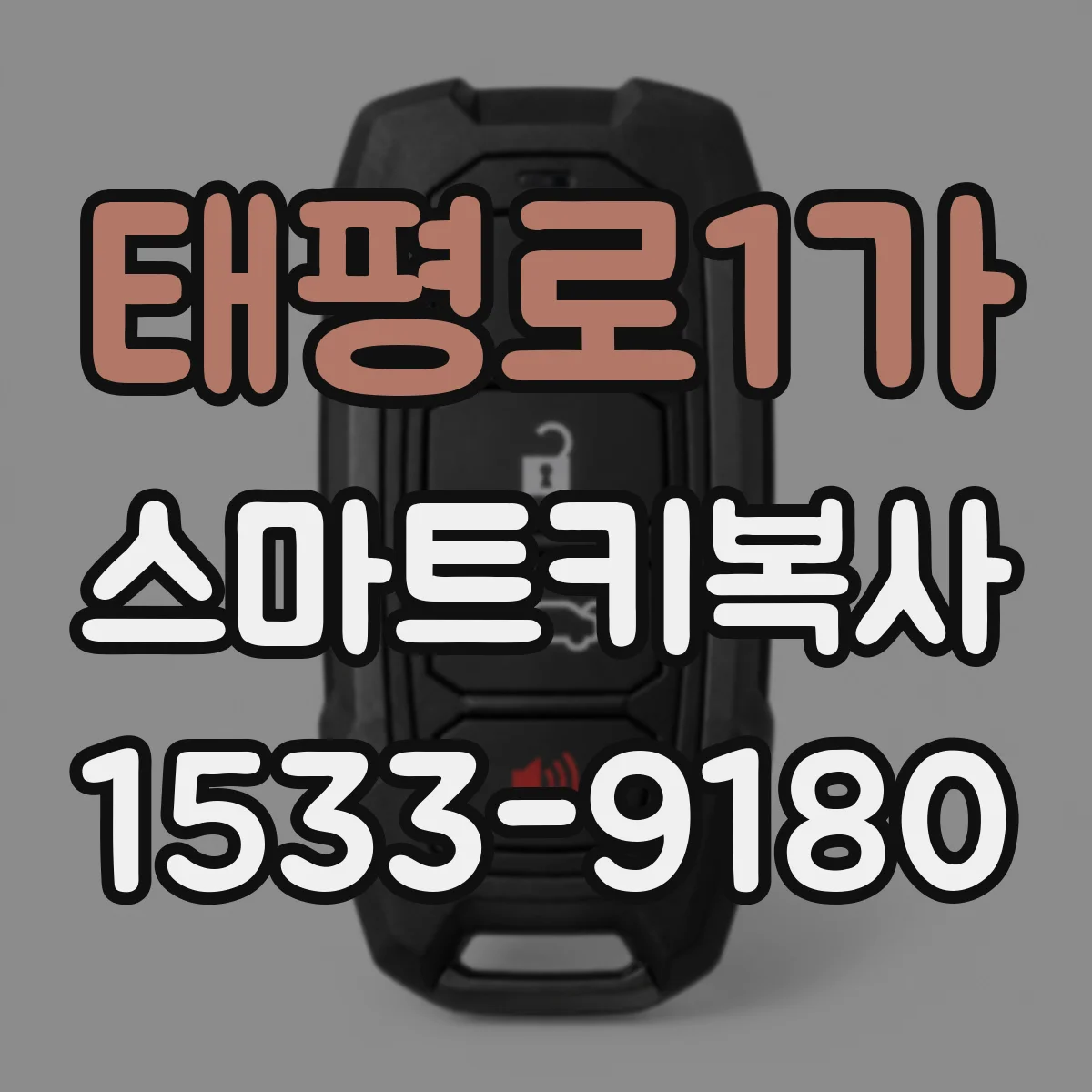 태평로1가 스마트키복사