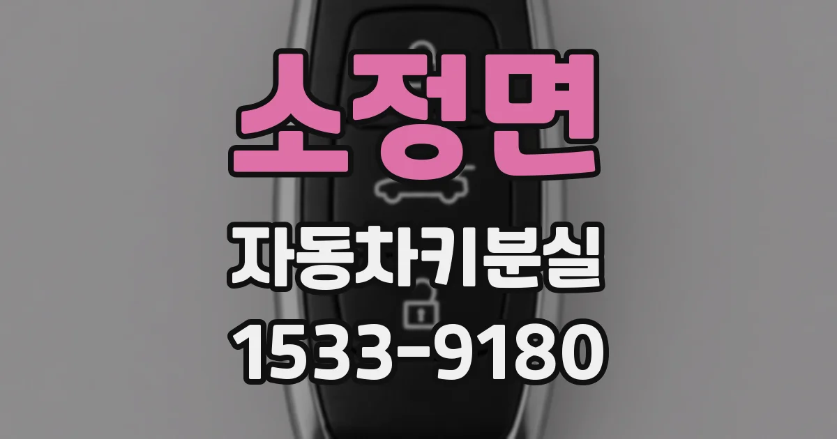 소정면 자동차키분실