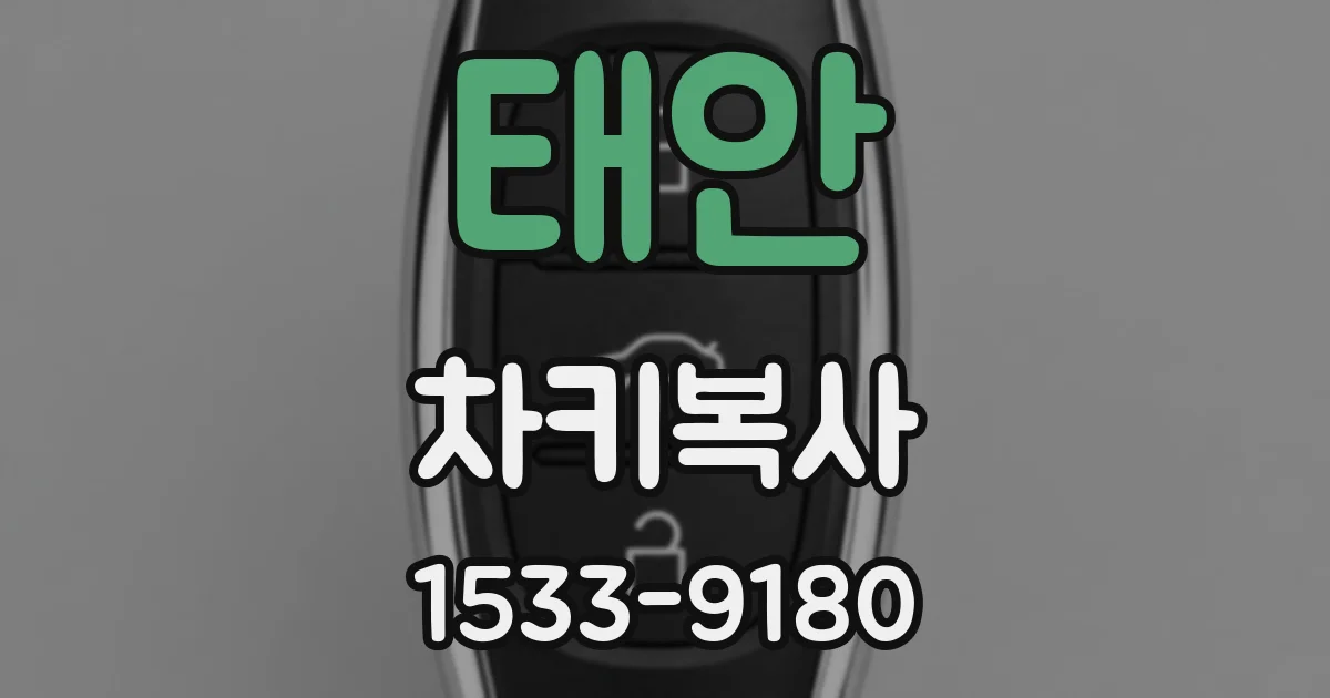 태안 차키복사