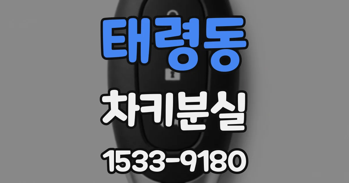 태령동 차키분실