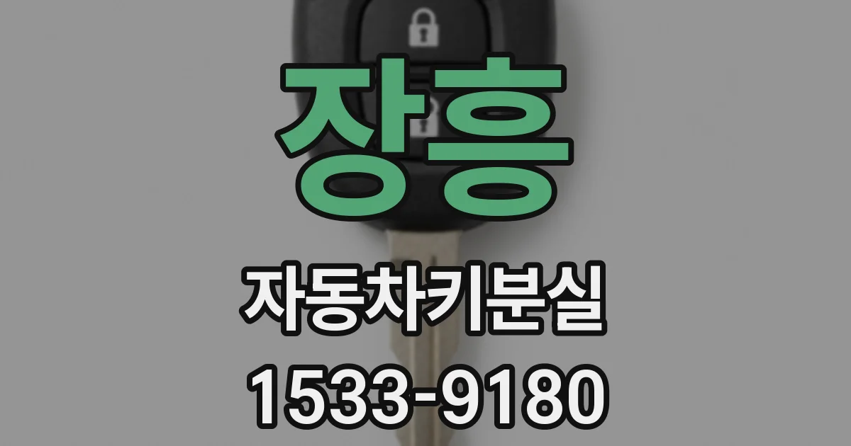장흥 자동차키분실