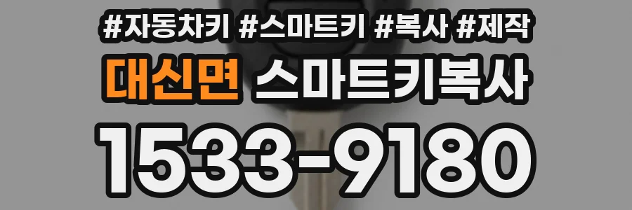 대신면 스마트키복사