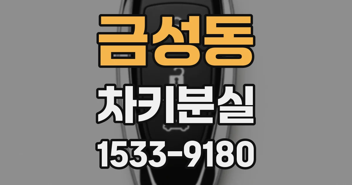 금성동 차키분실