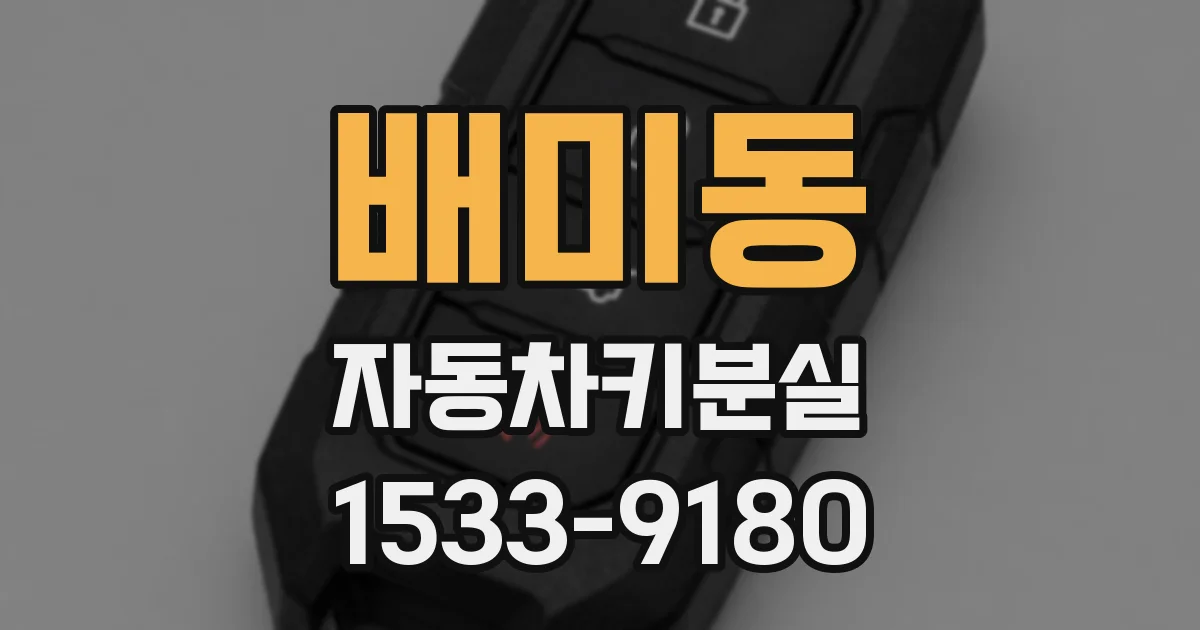 배미동 자동차키분실