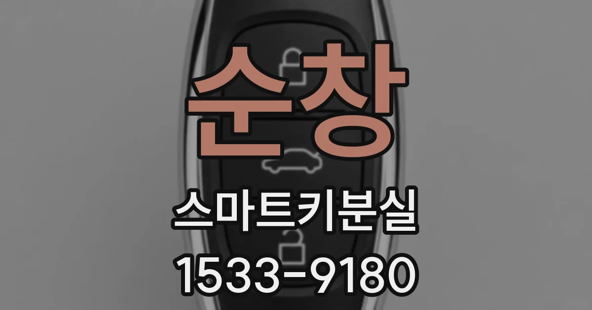 순창 스마트키분실