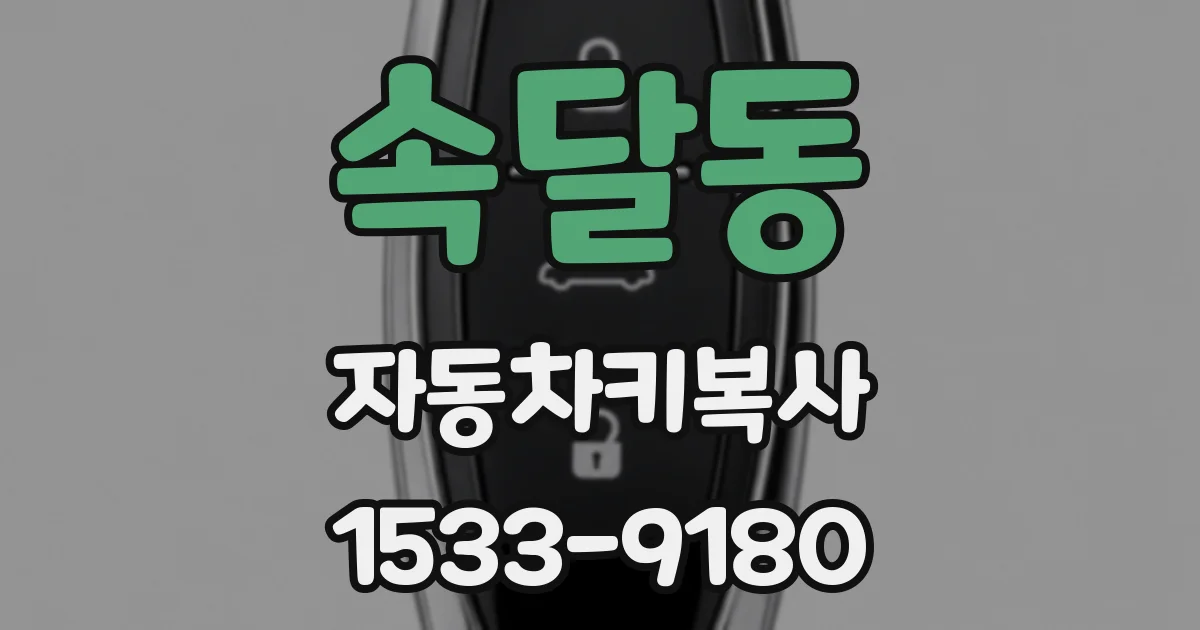 속달동 자동차키복사