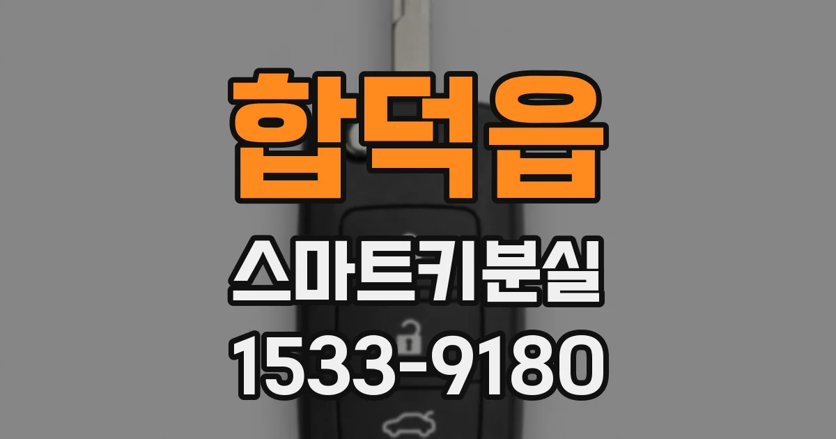 합덕읍 스마트키분실