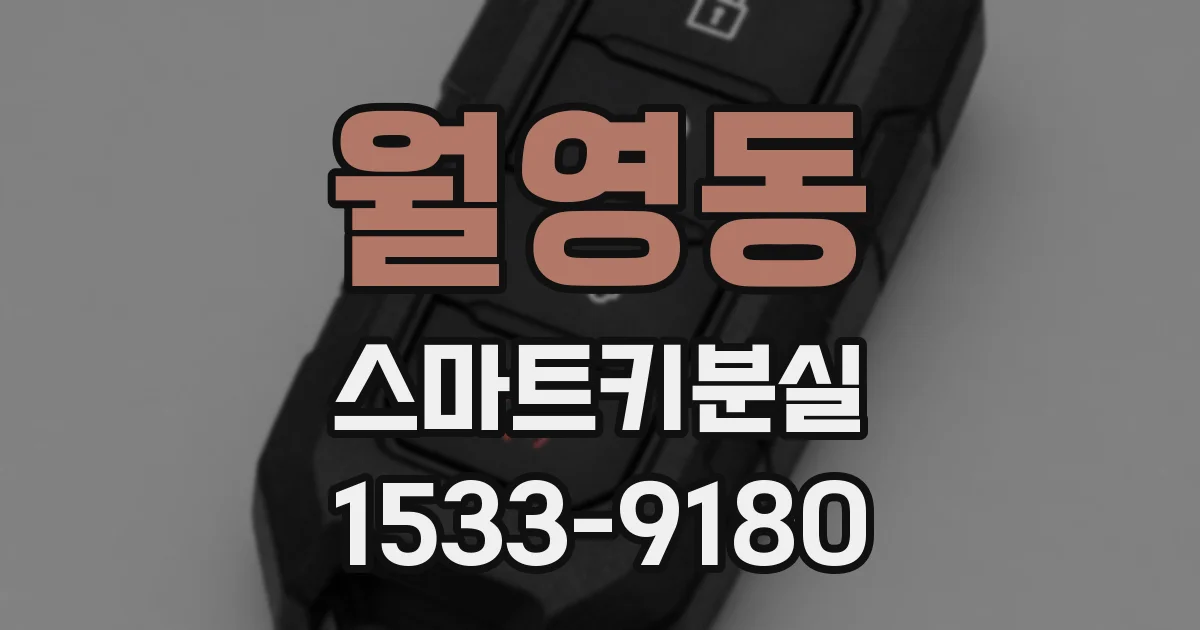 월영동 스마트키분실