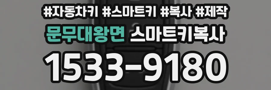 문무대왕면 스마트키복사