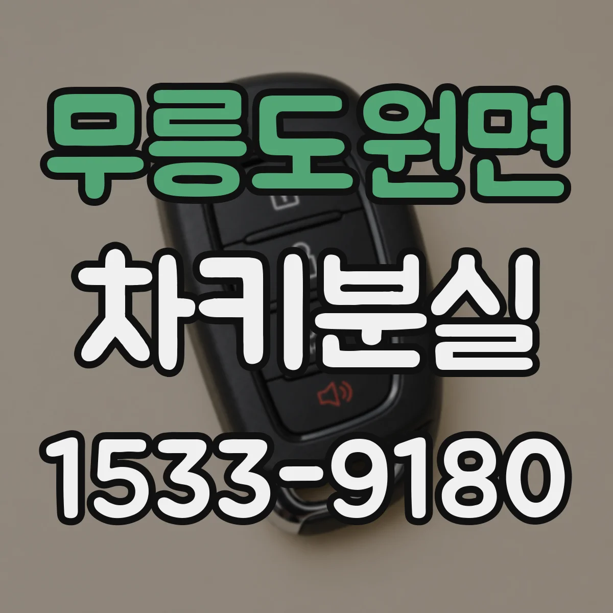 무릉도원면 차키분실