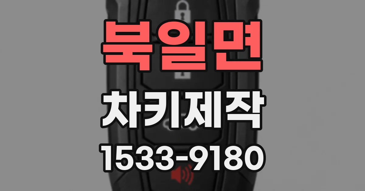 북일면 차키제작
