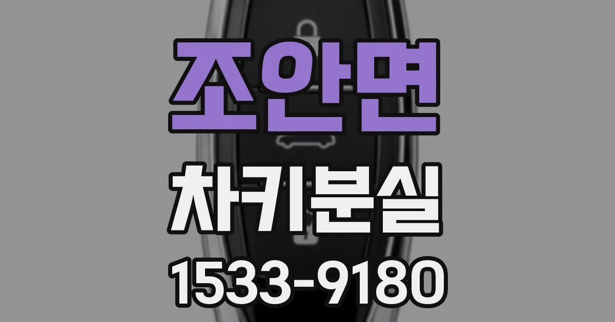 조안면 차키분실