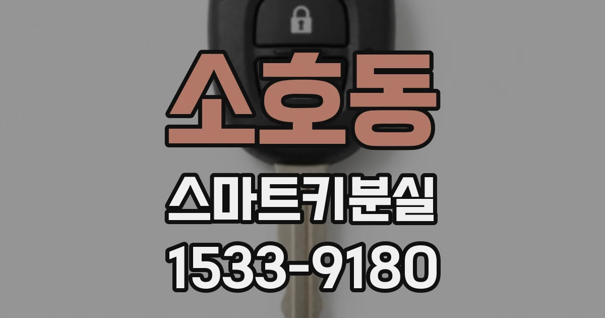 소호동 스마트키분실