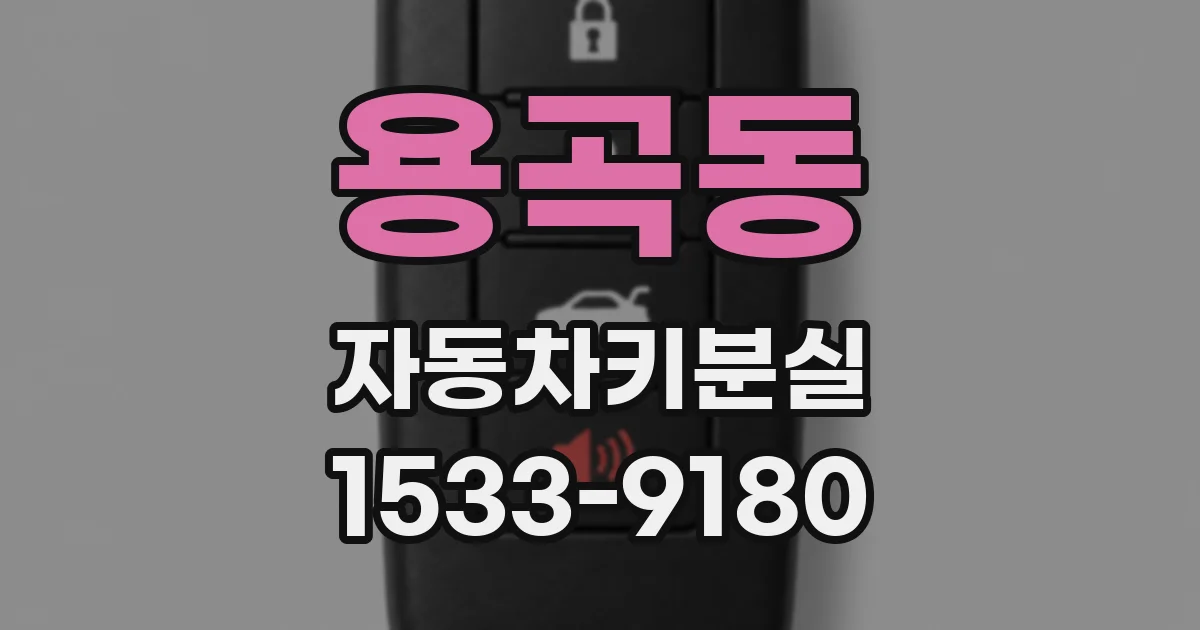 용곡동 자동차키분실