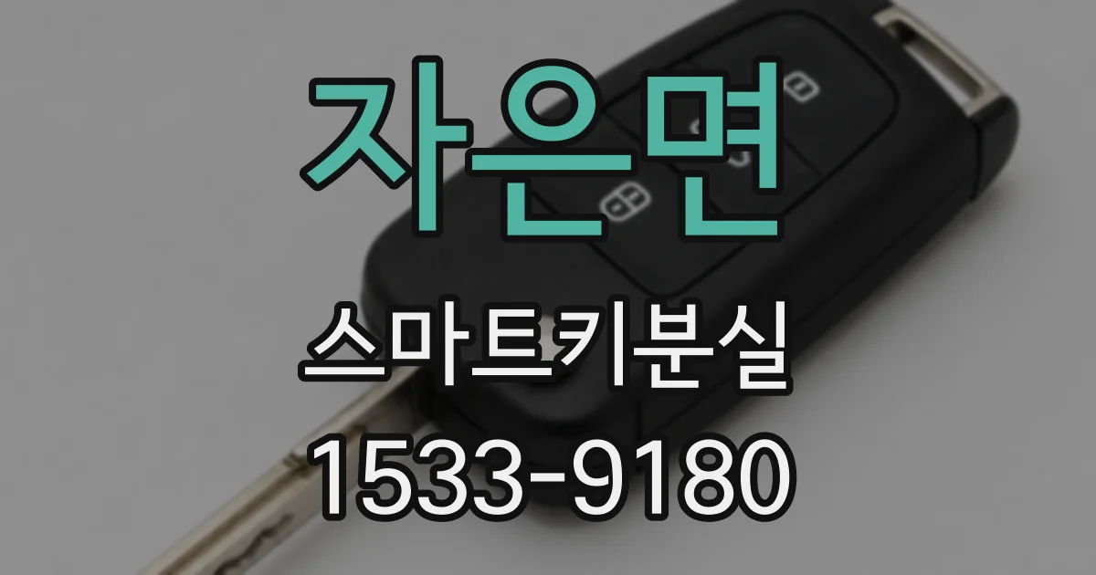 자은면 스마트키분실