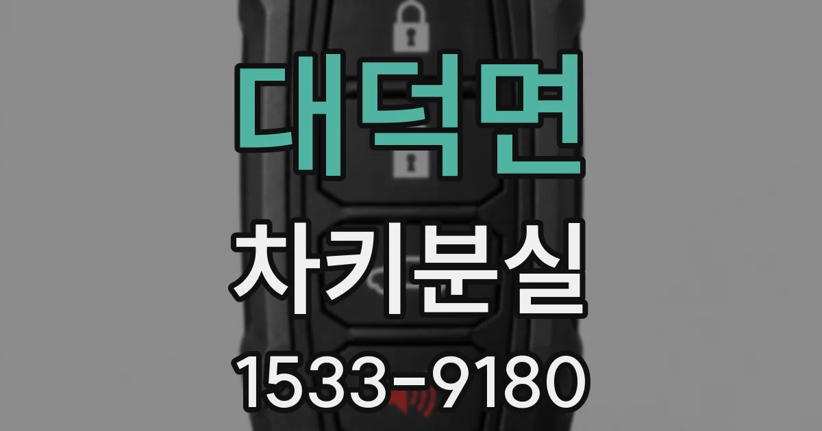 대덕면 차키분실