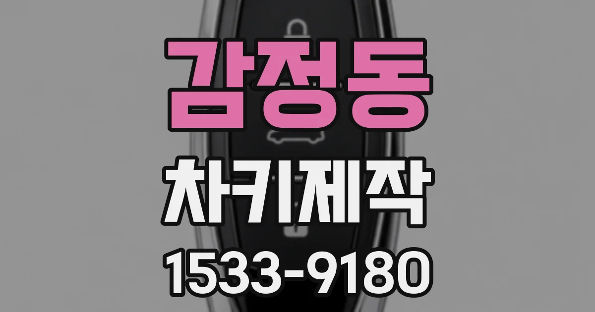 감정동 차키제작