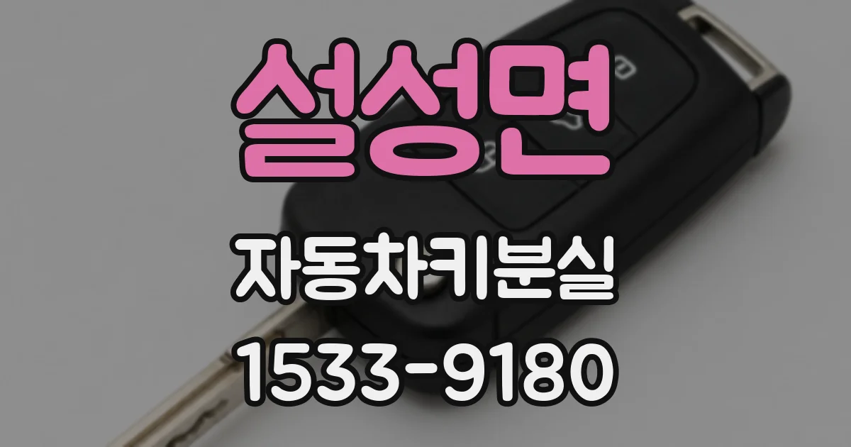 설성면 자동차키분실