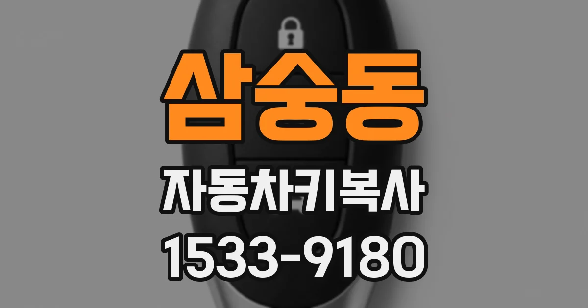 삼숭동 자동차키복사
