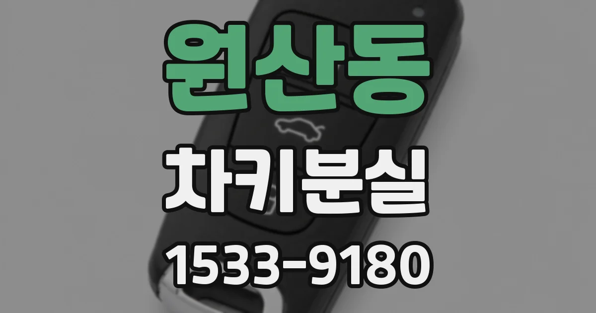 원산동 차키분실