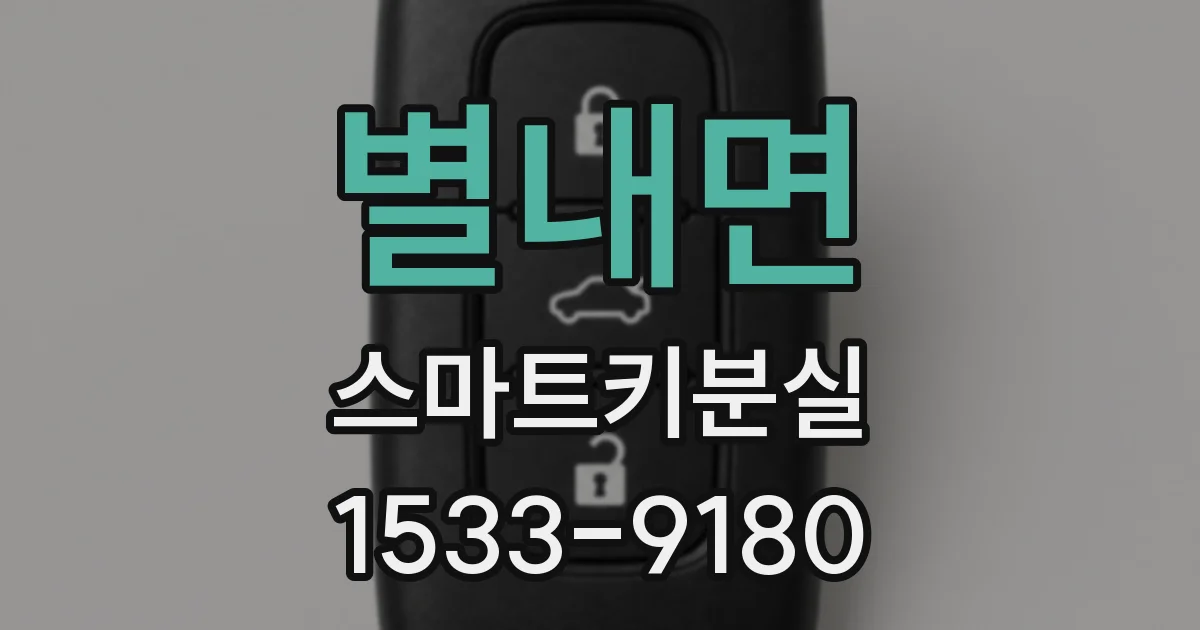 별내면 스마트키분실