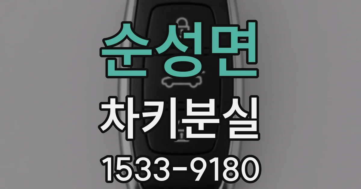 순성면 차키분실