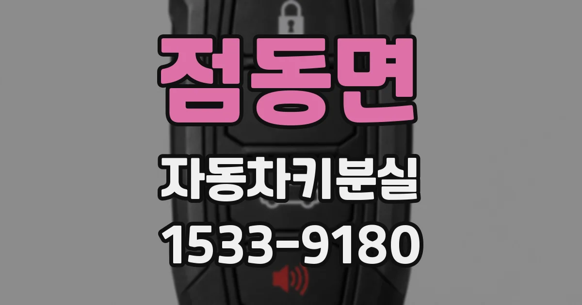 점동면 자동차키분실