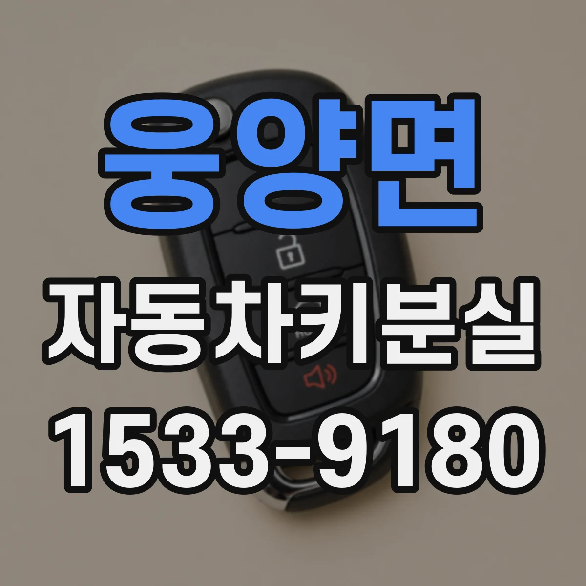웅양면 자동차키분실