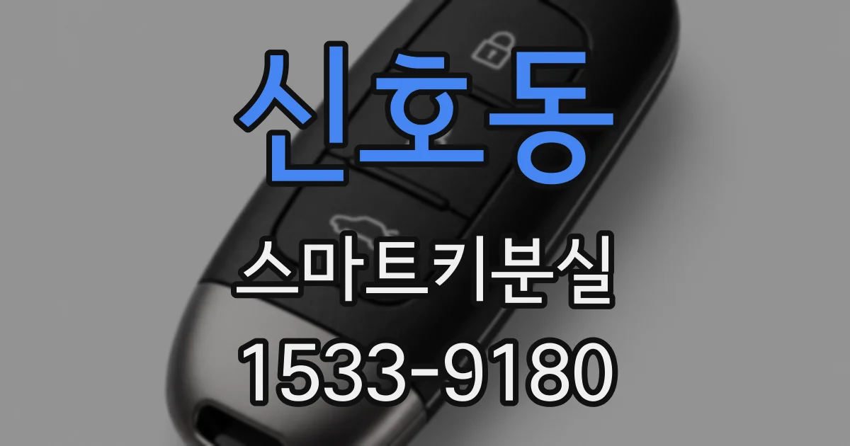 신호동 스마트키분실