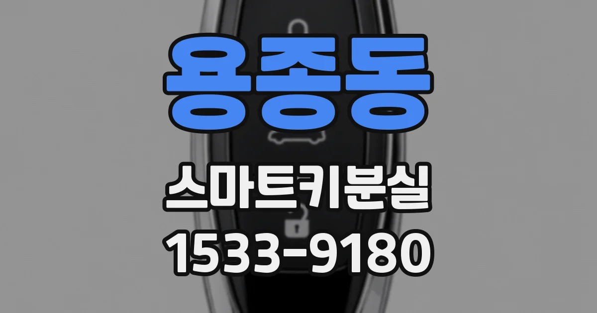 용종동 스마트키분실