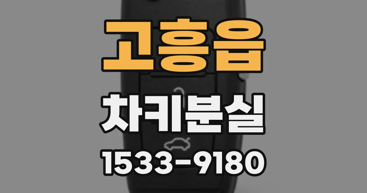 고흥읍 차키분실