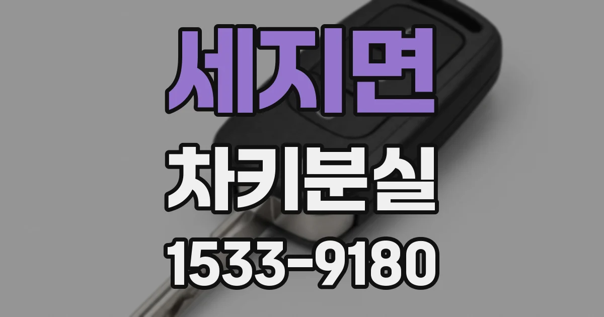 세지면 차키분실