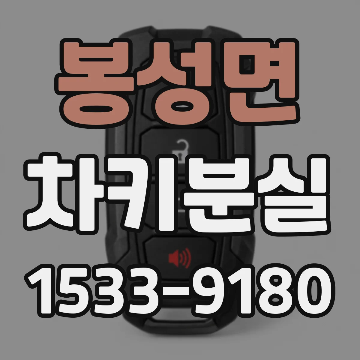 봉성면 차키분실