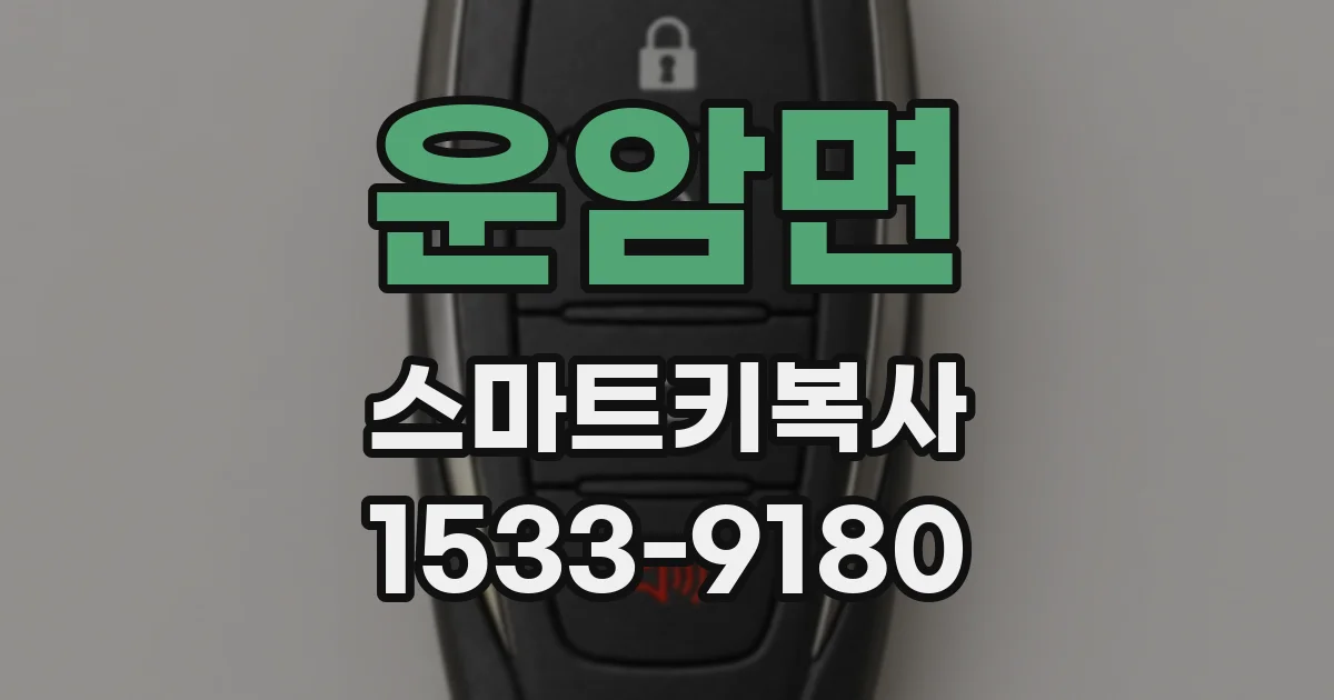 운암면 스마트키복사