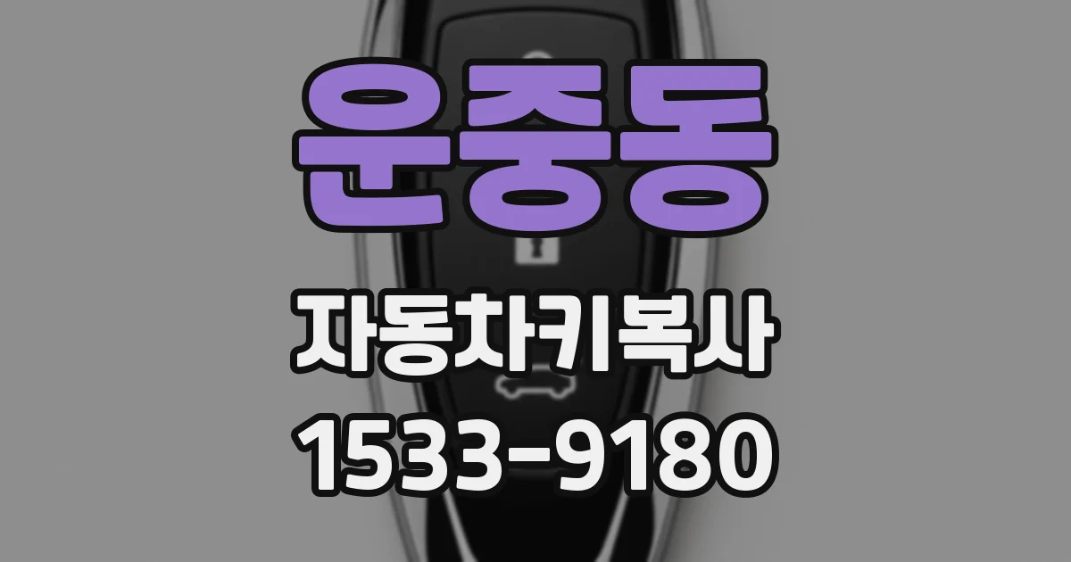 운중동 자동차키복사