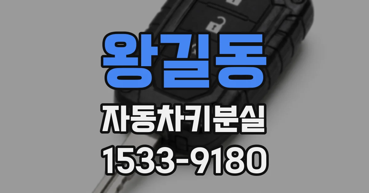 왕길동 자동차키분실