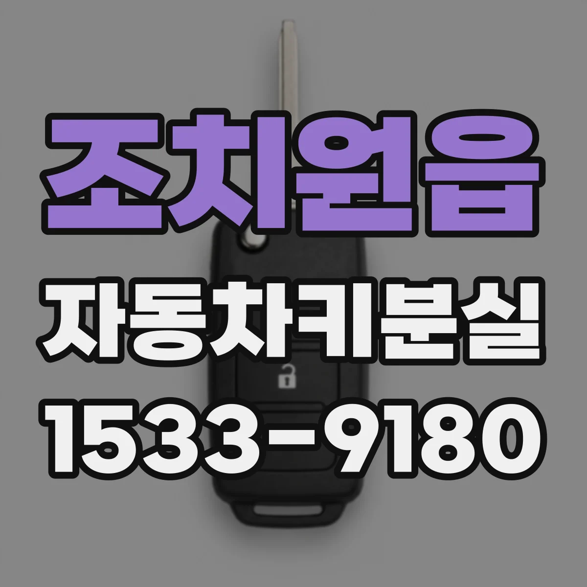 조치원읍 자동차키분실