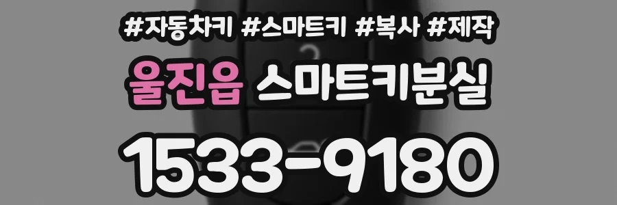 울진읍 스마트키분실