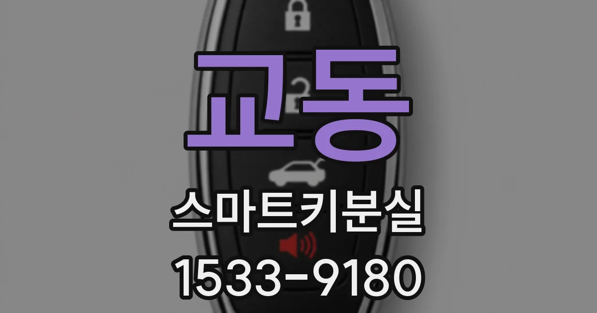 교동 스마트키분실