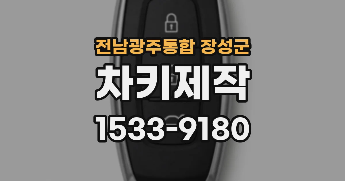 전남광주통합 장성군 차키제작
