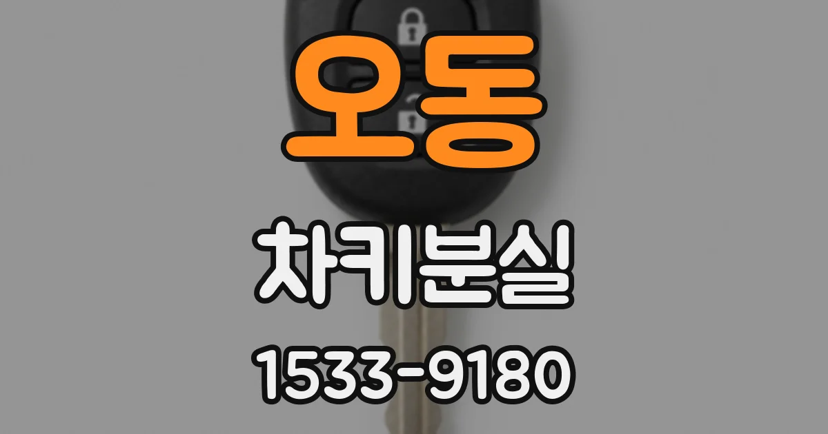 오동 차키분실