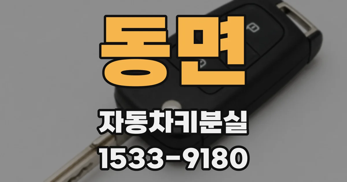동면 자동차키분실