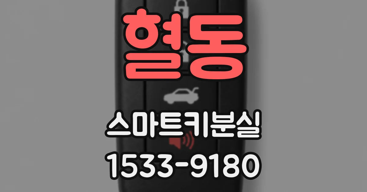 혈동 스마트키분실