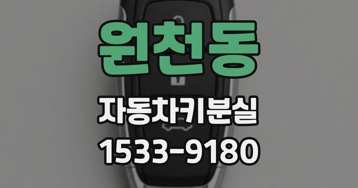 원천동 자동차키분실