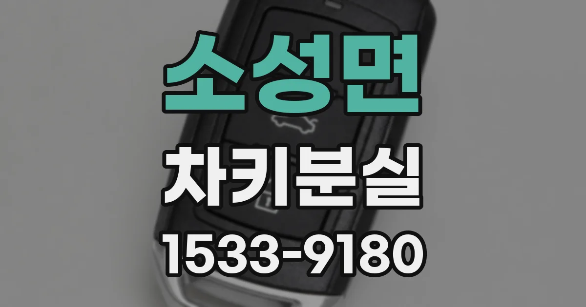 소성면 차키분실