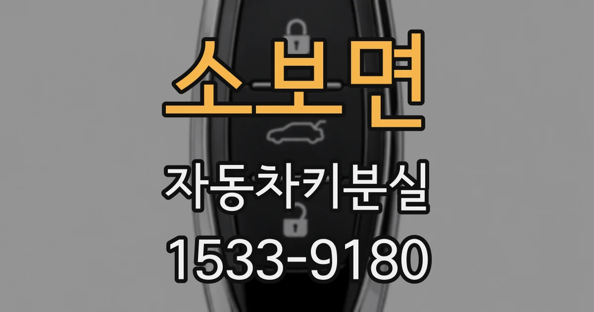 소보면 자동차키분실