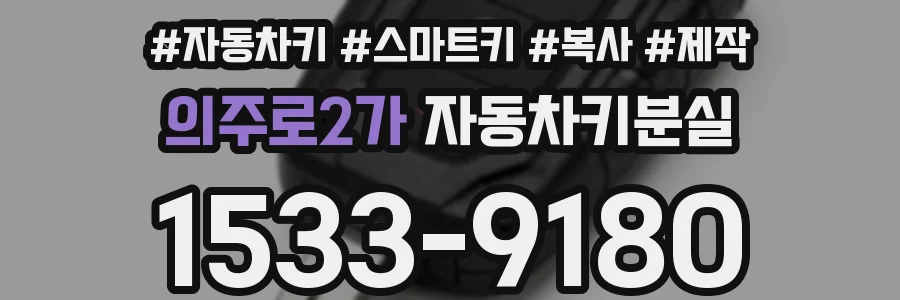 의주로2가 자동차키분실