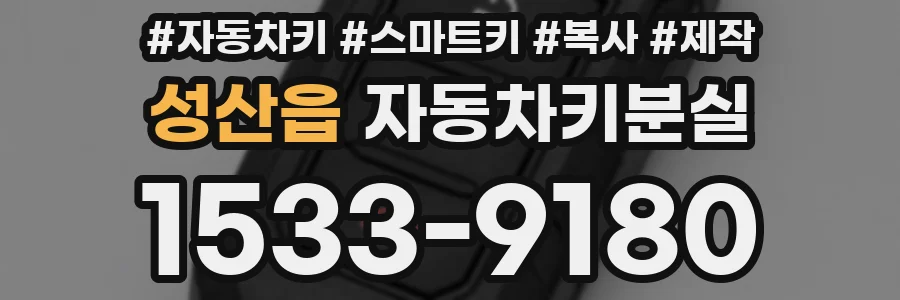 성산읍 자동차키분실